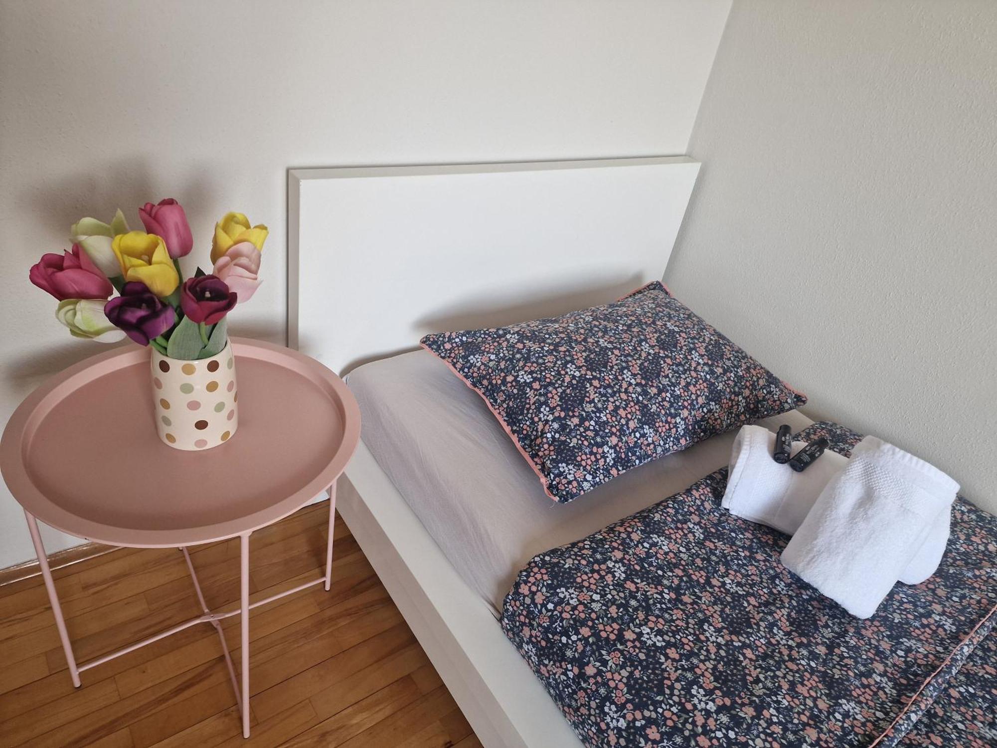 Apartman Loncar 波素斯捷 外观 照片